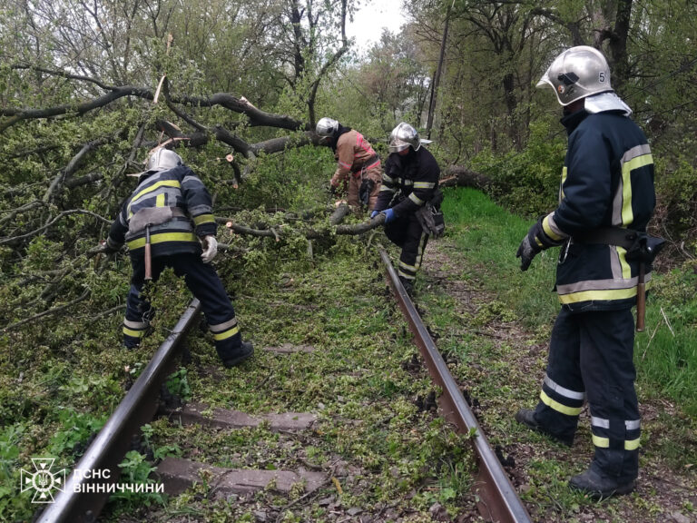 Негода на Вінниччині: рятувальники понад 50 разів виїжджали на виклики (Оновлено)