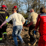 На Вінниччині чоловік потрапив під мотоблок: його госпіталізували