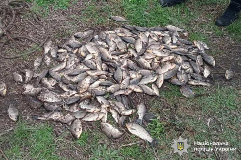 Золота рибалка: у Хмільницькому районі затримали браконьєрів