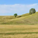Майже 8 гектарів із історією: як під Вінницею землю повернули державі