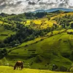 Куди поїхати в травні: ідеї для мандрівки Україною