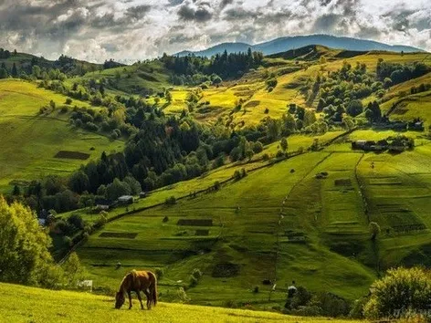 Куди поїхати в травні: ідеї для мандрівки Україною