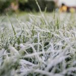 Сильні заморозки накриють Вінниччину 14 та 15 квітня: оголошено ІІ рівень небезпеки