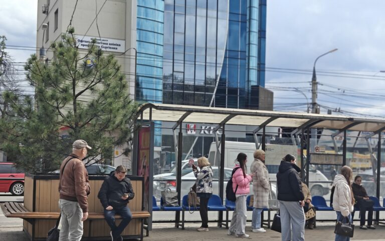 У Вінниці на трамвайній зупинці з’явилося нове озеленення