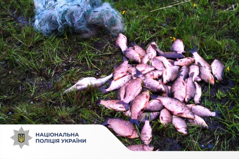 Вилов риби під час нересту: поліція Вінниччини розслідує два кримінальних провадження
