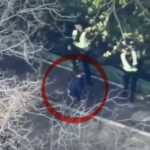 Скандал у Києві: патрульні покинули дитину під час стрілянини та втекли