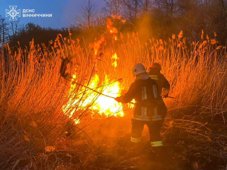 Рятувальники Вінниччини ліквідували сім загорянь за добу