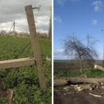Після шторму на Вінниччині світло вже повернули 48 тисячам споживачів