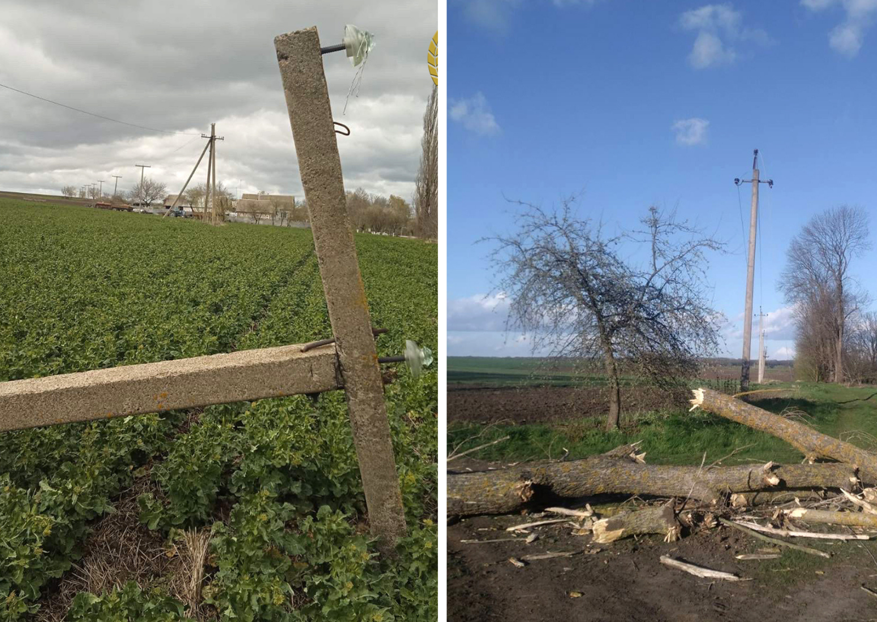 Після шторму на Вінниччині світло вже повернули 48 тисячам споживачів