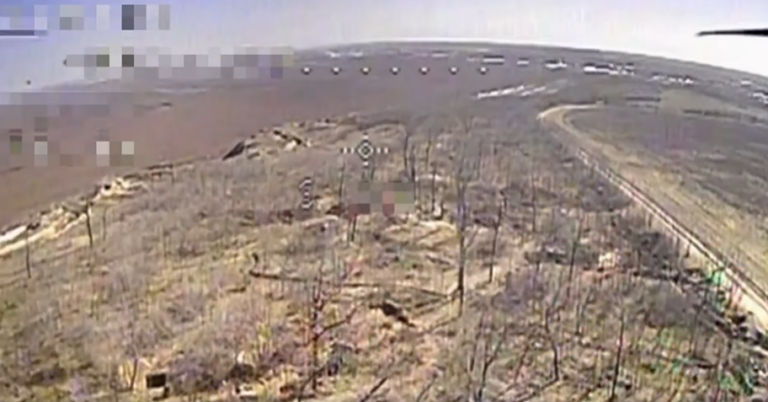 Прикордонники Вінниччини вдарили FPV-дронами по ворогу: ефектне відео