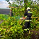 Негода на Вінниччині повалила дерева: ДСНС двічі виїжджала на виклики (ФОТО)