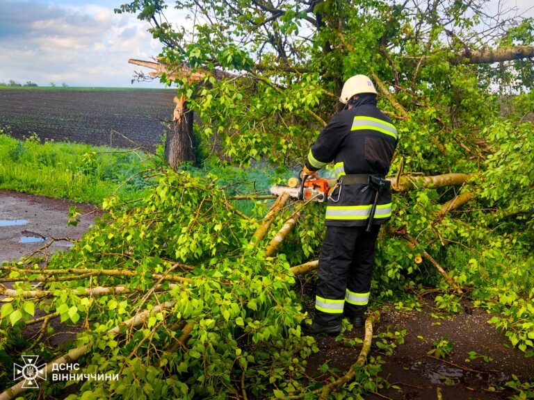 Негода на Вінниччині повалила дерева: ДСНС двічі виїжджала на виклики (ФОТО)