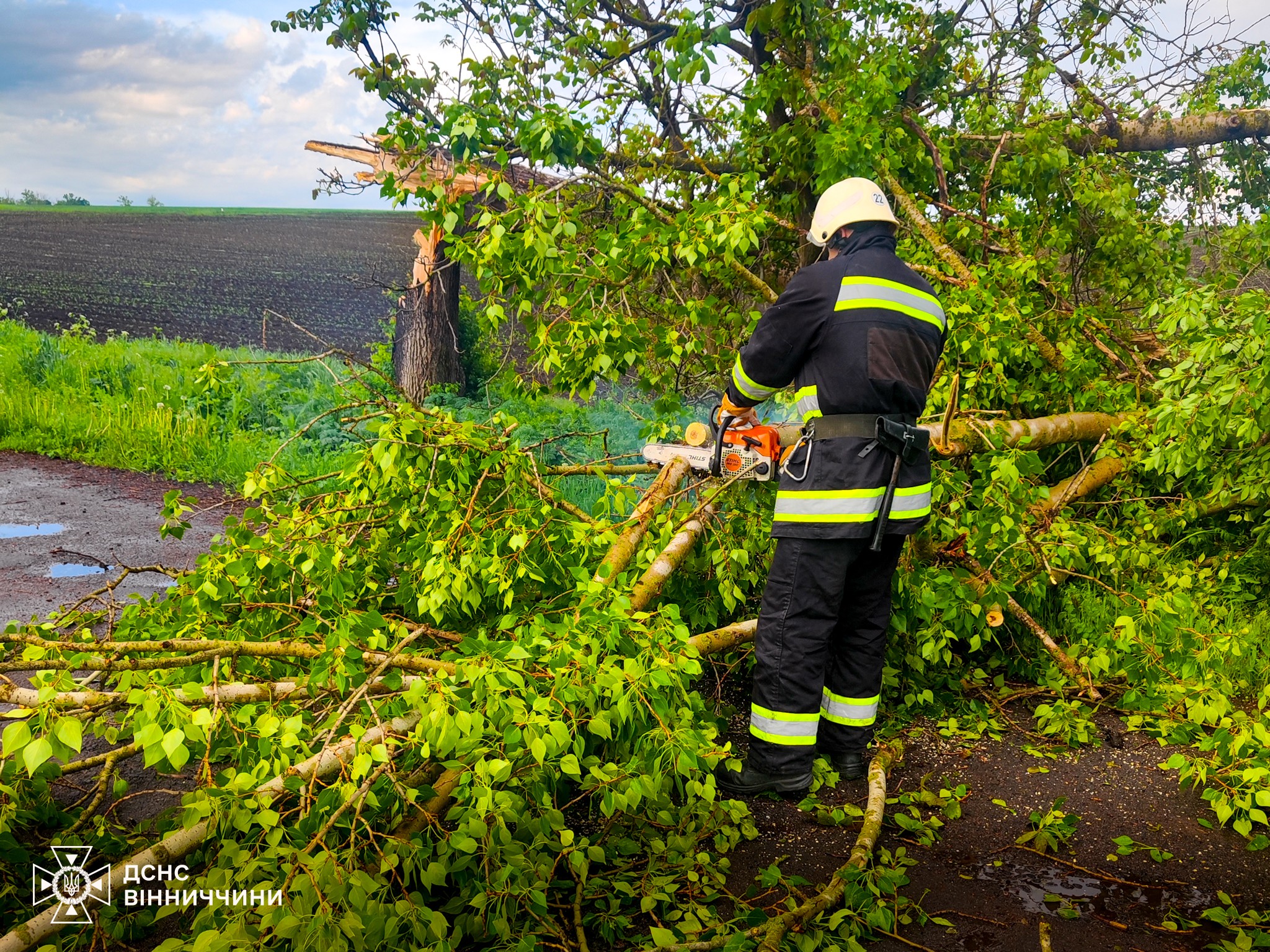 Негода на Вінниччині повалила дерева: ДСНС двічі виїжджала на виклики (ФОТО)