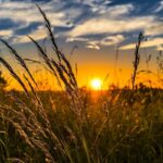 Синоптики обіцяють спеку до +28°: прогноз на 5 травня