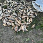 На Вінниччині викрили факт незаконного вилову риби