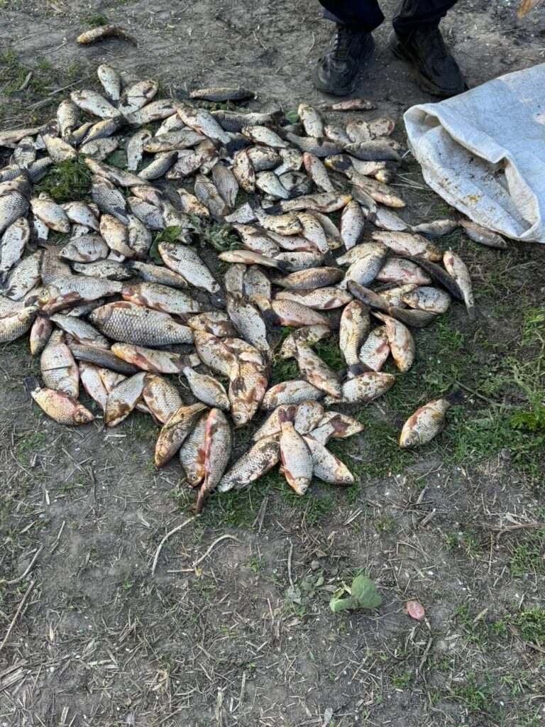 На Вінниччині викрили факт незаконного вилову риби