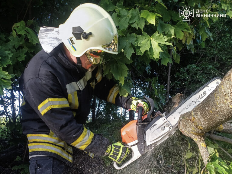 Пориви вітру повалили дерева на дорогах Вінниччини: підрозділи ДСНС 5 разів виїжджали на виклики