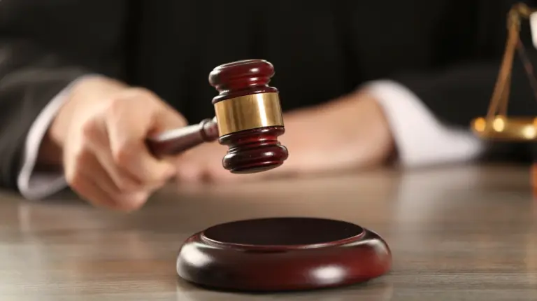 Шахрайство та публікації щодо військових: суд у Вінниці виніс вирок блогеру