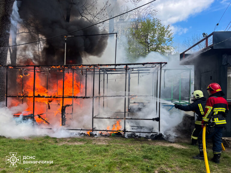 На Вінниччині розваги 9-річного хлопчика з вогнем закінчилися пожежею на подвір’ї