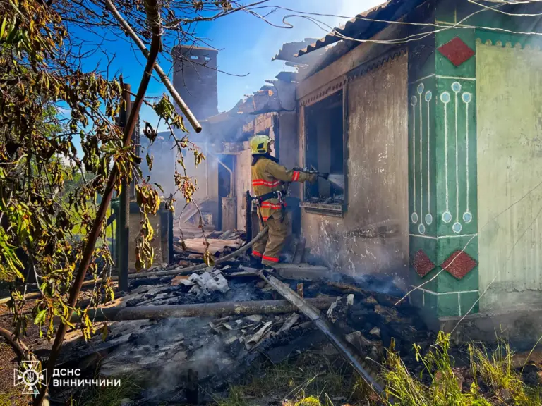 Повалені дерева, пожежі та травмування дитини: якою була доба для рятувальників Вінниччини