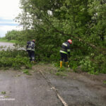 15 виїздів ДСНС, повалені дерева і підтоплення: на Вінниччині вирувала негода (ФОТО)