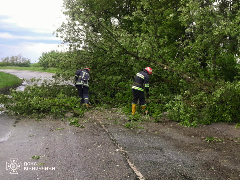 15 виїздів ДСНС, повалені дерева і підтоплення: на Вінниччині вирувала негода (ФОТО)