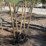 Вінничан закликають стати частиною світового рекорду