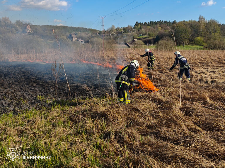 Палаючі поля та будівлі: на Вінниччині за добу ліквідували 19 пожеж