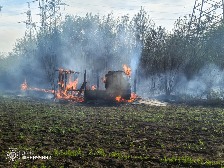 Вінниччина у вогні: рятувальники б’ють на сполох через підпали сухостою