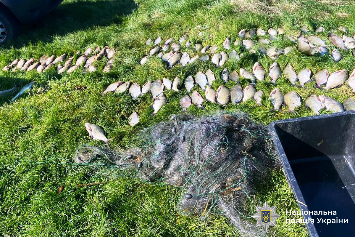На Гайсинщині чоловік наловив риби на понад 200 тисяч гривень