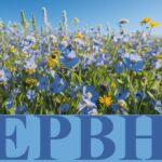 Чим особливе 1 червня: головні свята та традиції цього дня