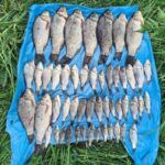На водоймах Вінниччини ловлять браконьєрів