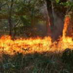 Пожежа на Вінниччині: можливі затримки електропоїздів