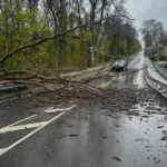 Негода насувається на Вінниччину: синоптики попереджають про грози та шквали