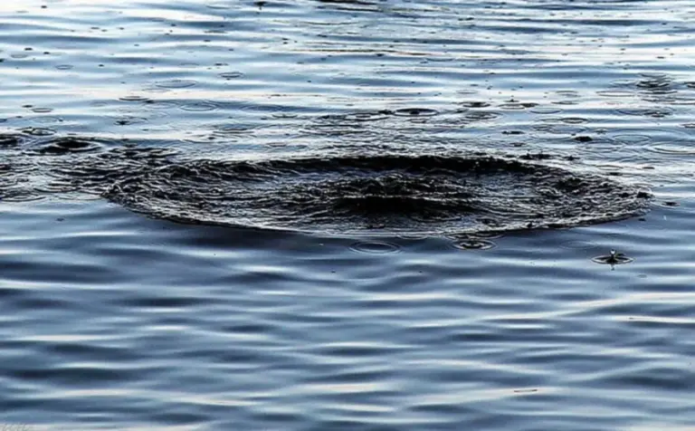 Трагедії на Гайсинщині й Бершадщині: вода забрала життя чоловіків