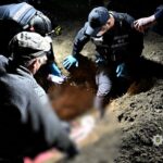 Свекор убив невістку й разом із сином закопали в землю