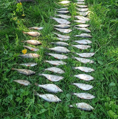 Майже 85 тисяч збитків: на Вінниччині спіймали браконьєра