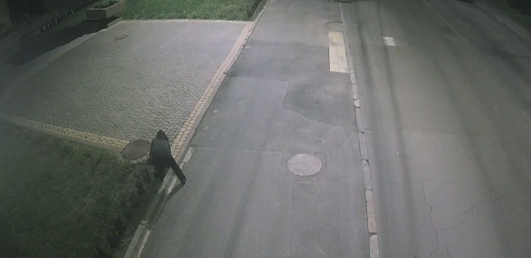 Невідома жінка викопала кущ біля «Вінницяобленерго» (Відео)