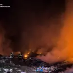 У Вінницькій області горіло сміттєзвалище та господарська споруда: наслідки пожеж