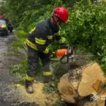 Повалені дерева та затоплені оселі: на Вінниччині рятувальники боролися з негодою (ФОТО)