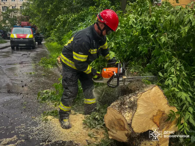 Повалені дерева та затоплені оселі: на Вінниччині рятувальники боролися з негодою (ФОТО)