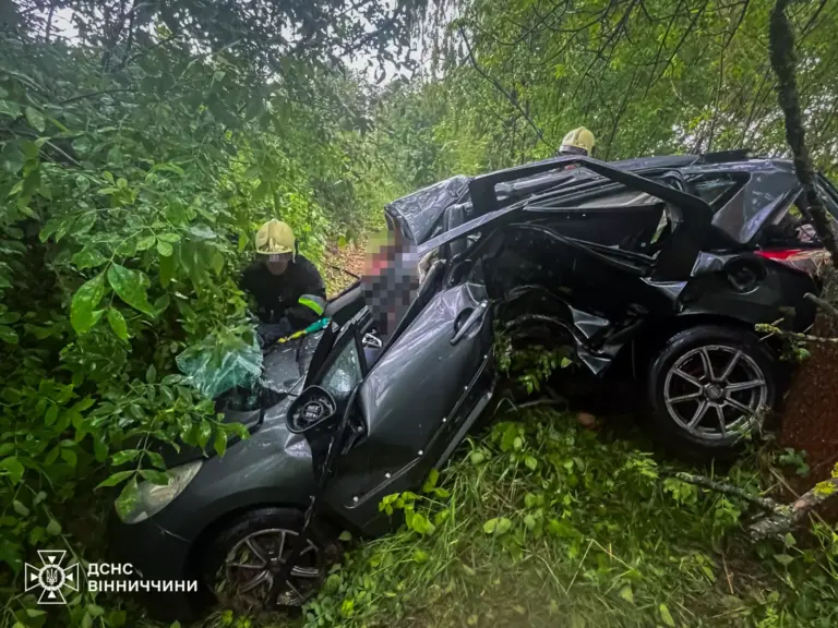 В аварії на Вінниччині загинув 22-річний хлопець та його бабуся