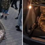 Українець виловив «легендарного» сома з озера у Польщі: 183-сантиметровий сом плавав у водоймі 20 років