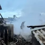 В Уланівській громаді під час пожежі загинули корова з телям