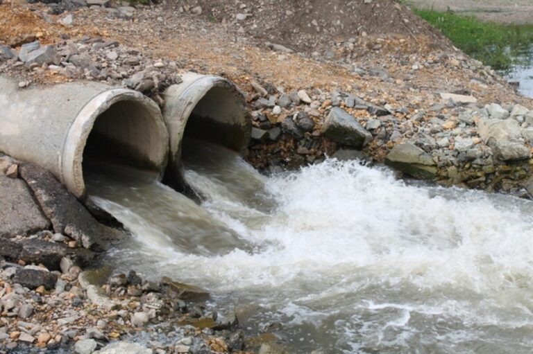 Екологічний скандал у Крижопільській громаді: водоканал скидав забруднюючі речовини у струмок