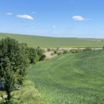 Розорали прибережні смуги: на Вінниччині викрили незаконні посіви біля ставків