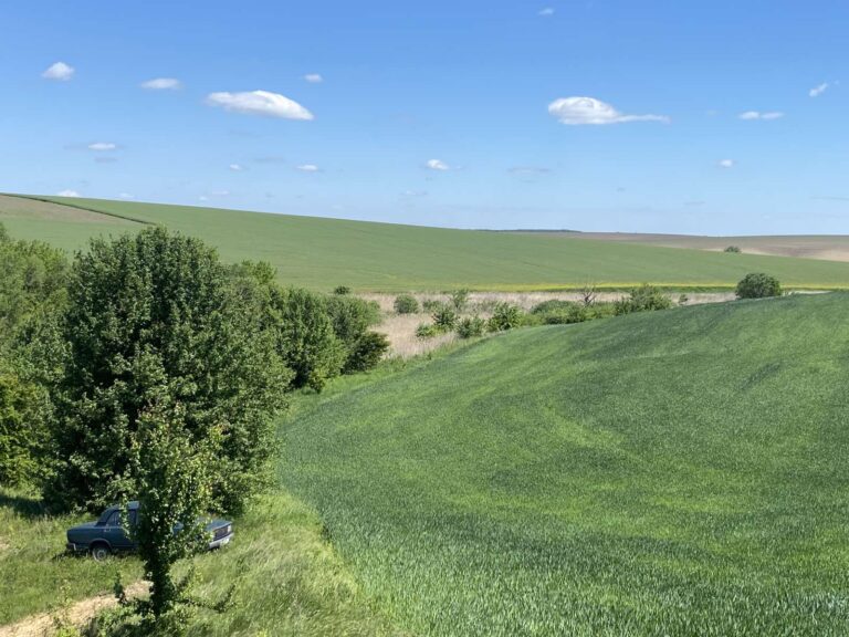 Розорали прибережні смуги: на Вінниччині викрили незаконні посіви біля ставків