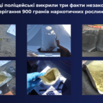 Майже 900 грамів наркотичних рослин: у Вінниці поліція затримала трьох фігурантів