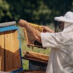 У Вінниці фінансуватимуть розвиток місцевих пасік