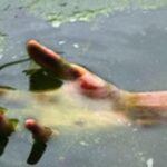 Вода забрала життя підлітка на Вінниччині